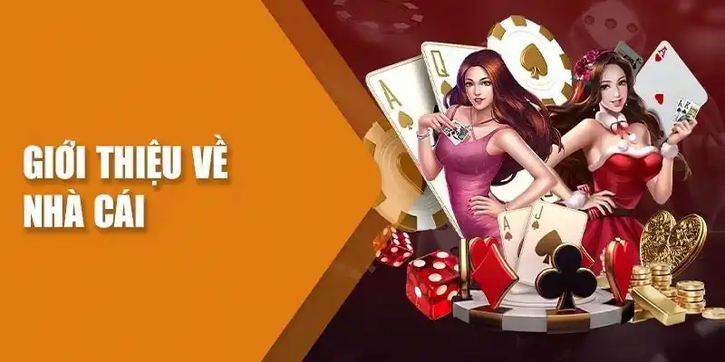 Giới thiệu WIN8BET và hệ sinh thái giải trí đa dạng